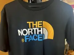 THE NORTH FACE マルチカラーロゴ Tシャツ ブラック