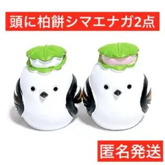 シマエナガ　端午の節句　リトルフレンド　キャンドゥ　匿名配送　柏餅　和菓子　2点