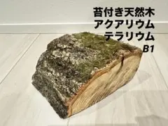 Item thumbnail for item 1f06e7c9-cbb3-4629-b0d9-c0e6db2c9ac2