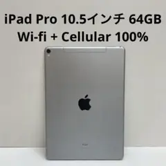 iPad Pro 10.5インチ 64GB Cellular 100%