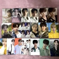 seventeen ディノ ラキドロ