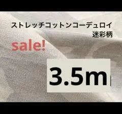 Item thumbnail for item 91255480-dd6d-4cc3-a2f7-06d7c05a3743