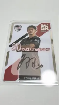 2026年最新】ヴィッセル神戸オンサイトカードの人気アイテム - メルカリ