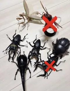 昆虫 フィギュア ダンゴムシ カマキリ クワガタ まとめ売り