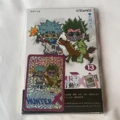 HUNTER×HUNTER 20巻 香港限定 ホログラムカード付 - メルカリ