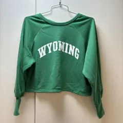 Item thumbnail for item d885f27b-93dd-4c41-84f1-cc458970899d