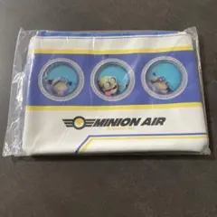 ミニオンズ フラットポーチ IG-3900のサムネイル