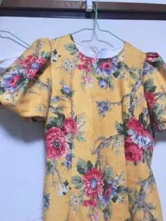 パンツなしベトナムアオザイ