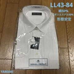 Item thumbnail for item 30ebdb7a-b835-49e5-a9ac-dc17da9e07d3