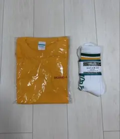 Item thumbnail for item 58e89512-c48b-4b74-9fc1-af2f023e9fff