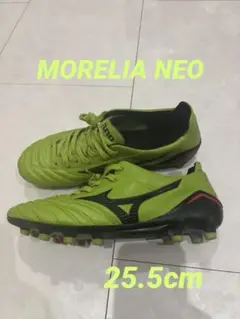 Item thumbnail for item b5f2b427-bb66-454a-bb10-e69a2e058e38