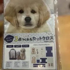 Item thumbnail for item 64fe7b4c-2ae1-4258-98a3-0968685645ca