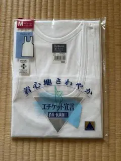 Item thumbnail for item 02689d35-96ad-46c4-98d6-8f4664d24922