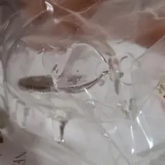 箱根ガラスの森 豚 ぶた ブタ ガラス製 置物 インテリア