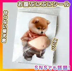 【値下げ中】おなか ぷにぷに シール 柴犬 立体 ステッカー 1枚 ぷっくりお腹