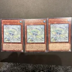 遊戯王　マルチャミー・プルリア　3枚セット