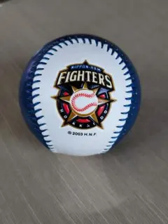 ケース付】北海道日本ハムファイターズ 大谷翔平サイン入りレプリカ