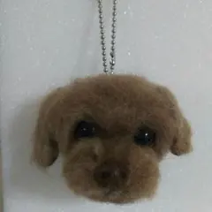 さっち様確認用