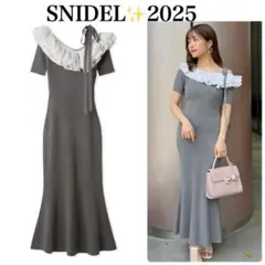 美品✨SNIDEL スナイデル　アシメプリーツカラーニットワンピース　2025