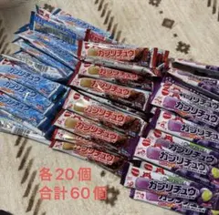 明治 ガブリチュウ 3種 合計60個セットのサムネイル