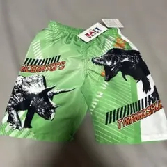 Item thumbnail for item 5823f599-5ac6-43bf-86fc-310fada84879