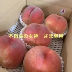 山梨の木のてっぺん桃　超特大を5個詰めて発送　人気商品のサムネイル
