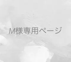 M様専用ページ 2点おまとめ