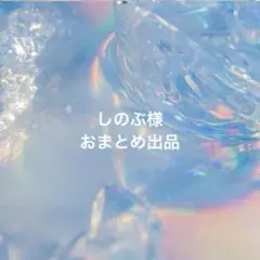 しのぶ様　おまとめ出品