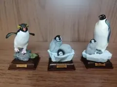 2026年最新】ネイチャーテクニカラー 南極の人気アイテム - メルカリ