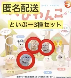 べびわんこめじるしチャーム　といぷー　ぐれー　あぷりこっと　ぶらうん　ガチャ