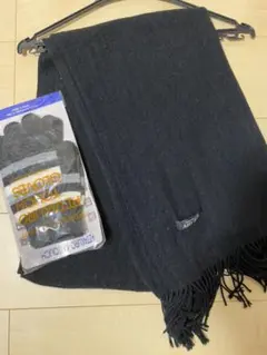 Item thumbnail for item 33f69dc9-d6cc-4a03-a133-28381ad4b2a4