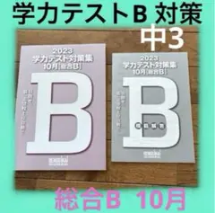 学力テストABC テキスト 高校入試 中3 総合B 練成会 錬成会　総合学力B