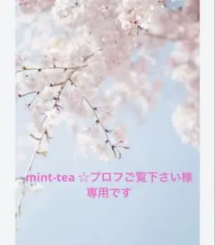 mint-tea ☆プロフご覧下さい様専用