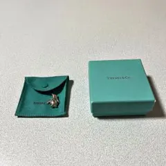 Tiffany & Co. ペンギン ネックレス中古のサムネイル