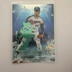 2026年最新】星野仙一 カードの人気アイテム - メルカリ