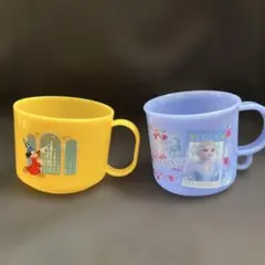 ディズニー　コップセット（ランドホテル・アナ雪）