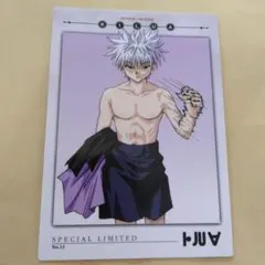 2026年最新】ハンターハンター カードダスマスターズ キルアの人気