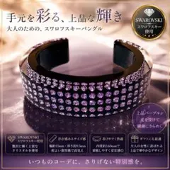 899【激レア色＊完売＊入手困難】￥22,000／黒／Dexteraフープピアス 