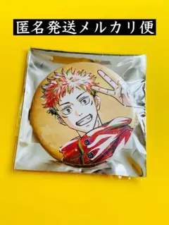 呪術廻戦　Ani-Art アニアート　虎杖悠仁　缶バッジ