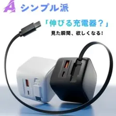 【日本ブランドリスカイ】伸縮式充電ケーブルType-C PD 30W/35W