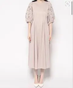 新品未使用 ANAYI アナイ モクロディ刺繍袖ワンピース ピンク 38