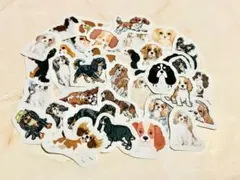 Item thumbnail for item e7bfc047-63d4-4146-87a3-a9f97c9856e0