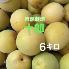 2026年最新】十郎 梅の人気アイテム - メルカリ