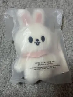 2026年最新】StrayKids リノ ぬいぐるみの人気アイテム - メルカリ