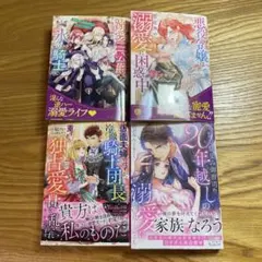 【ぴー様専用】12月新刊 ヴァニラ&ノーチェ文庫4冊セット
