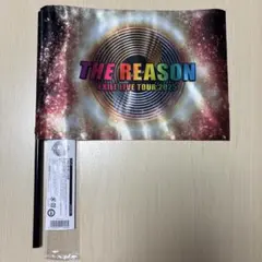 EXILE THE REASON フラッグ
