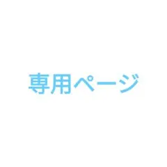 専用ページ