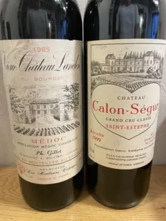楽天市場】シャトー カロン セギュール 2019 メドック グラン クリュ