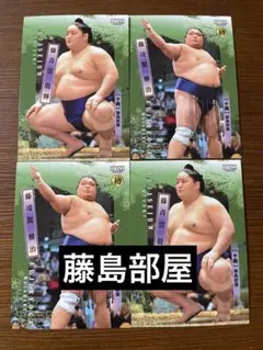 Item thumbnail for item ce8918bd-f6ee-4025-9a59-db17e8286aab