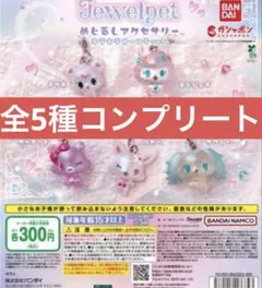 ノ*ノ様 ジュエルペット　めじるしアクセサリー　全5種コンプリート